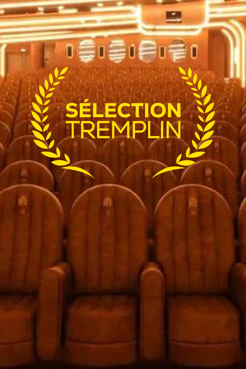Sélection Tremplin